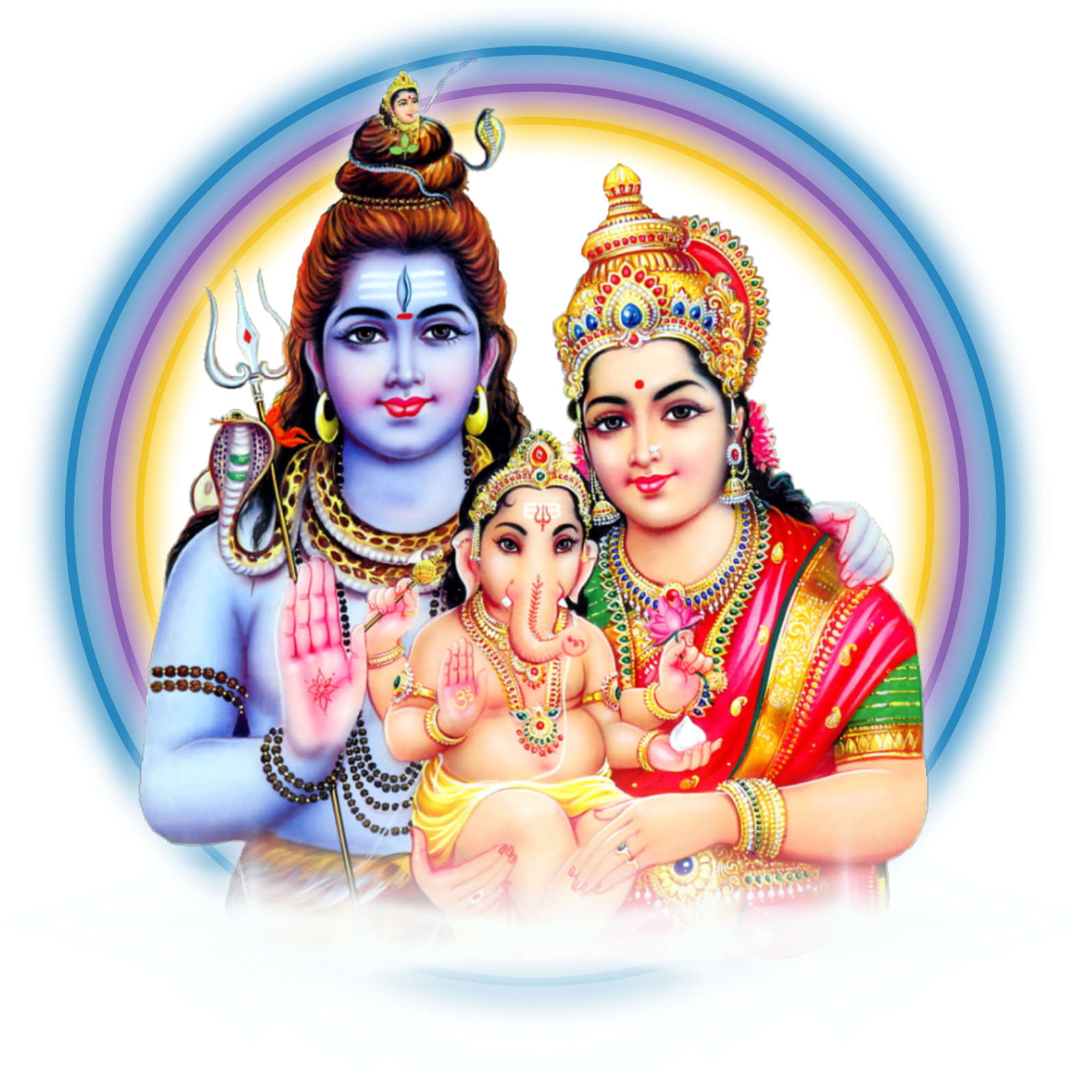 Shivan - Business Support